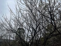 -浙江宾馆·花园餐厅·自助餐厅·茶吧