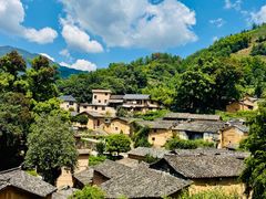 -杨家堂村