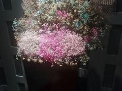 -丽晶大班SPA(大沽店)