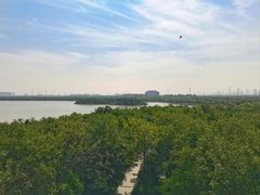 -天津东丽湖风景区