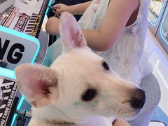 -茂业百货(东门店)