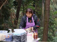 -铁山坪森林公园