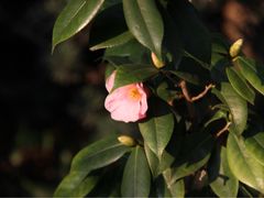 -苏州河梦清园环保主题公园