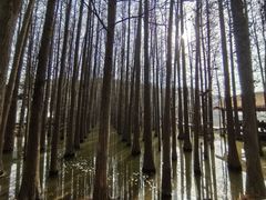 -采石矶景区