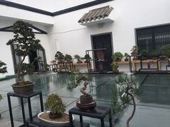 -稍可轩博物馆餐厅