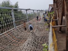 -呀路古热带植物园