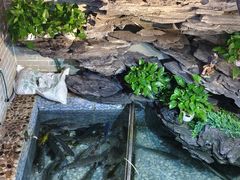 -山水茶艺馆·点心粤菜·30年老字号