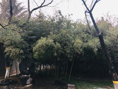 -西安青龙寺遗址景区