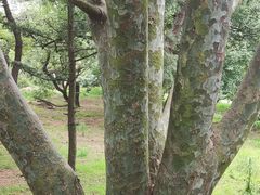 -青岛德国总督楼旧址博物馆