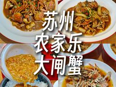 -品鲜村农家菜·阳澄湖大闸蟹(总店)
