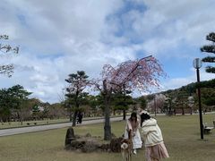 -奈良公园