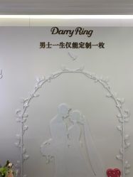 点击看大图 -DR钻戒(郑州国贸360店)