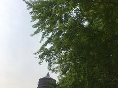 -玲珑塔公园