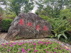 -广州市流溪河国家森林公园