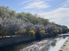 -元大都城垣遗址公园