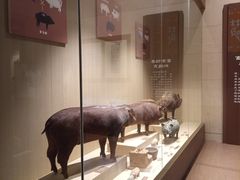 -中国农业博物馆