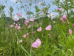 -云漫湖生态度假公园