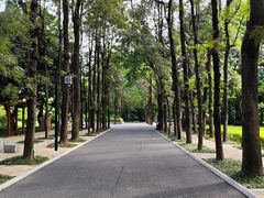 -南宁南湖公园