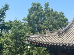 -香山公园