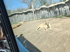 -北京野生动物园