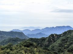-大岭沟猕猴桃谷风景区