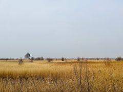 -野鸭湖国家湿地公园