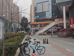 -成都保利公园皇冠假日酒店(熊猫基地店)