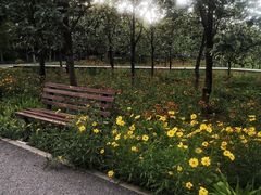 -东郊湿地公园
