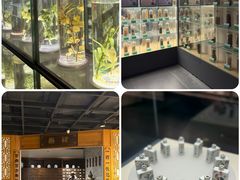 -广东中医药博物馆