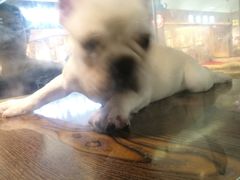 -乐宠宠物店(世纪金源店)