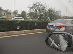 -甜心庄园·甜心草莓采摘园(西青中北店)