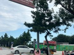 -烟台海昌鲸鲨海洋公园