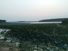 -丁香湖公园