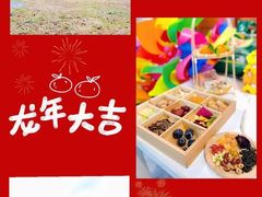 -南丹山森林王国