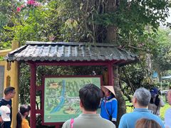 -广西龙虎山风景区