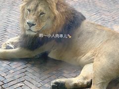 -攀枝花公园