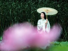 -陈家山荷花公园