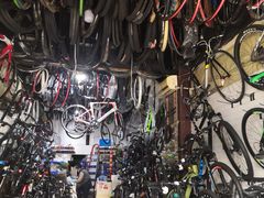 -道路口单车爱瓦士dahon大行