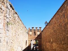 -塞哥维亚输水道