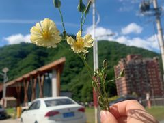-本溪汤沟绿石谷森林公园