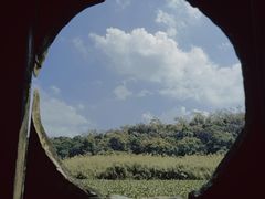 -南宁良凤江国家森林公园