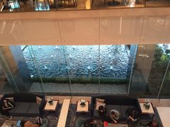 -怡咖啡海鲜自助餐厅(浦东香格里拉店)