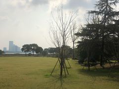-苏州金鸡湖大酒店