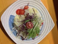 蔬菜沙拉-彦喜屋日本料理(龙子湖店)