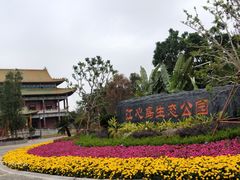 -江心岛