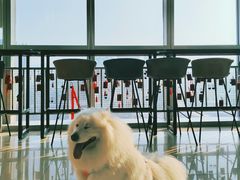 -幸福蓝海国际影城(崇安寺T12店)