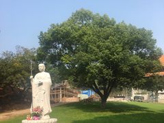 景点-太子山公园(园东路)