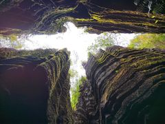 -梭布垭石林景区