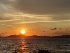 -广东惠东海龟国家级自然保护区