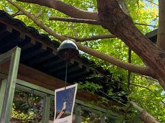 -VOYAGE COFFEE(杨梅竹店)